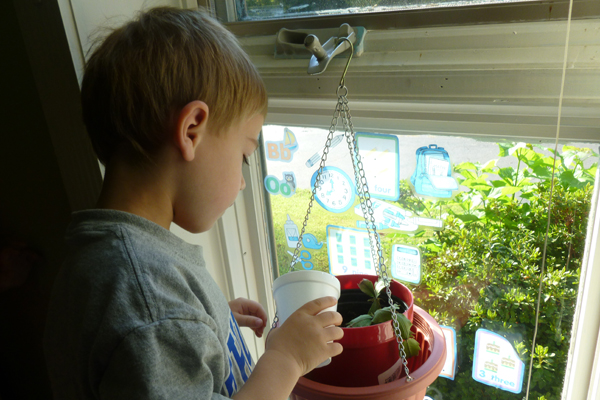 academics early childhood caring for plant