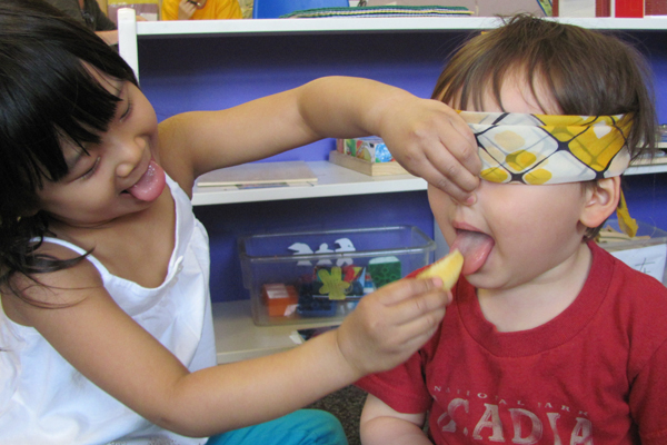 bk buddy learning senses