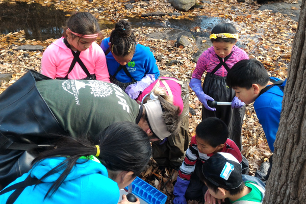 field trip camping 4